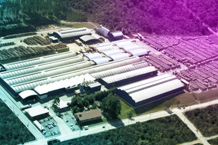 Eu Testei! Como o Guardião Resolve (e evita) Problemas na Madem